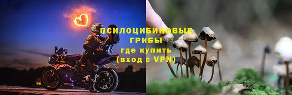 а пвп мука Богородицк